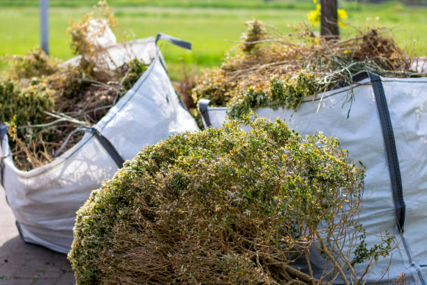 Best Same-Day Junk Removal Services  in Lake Kerr, FL
